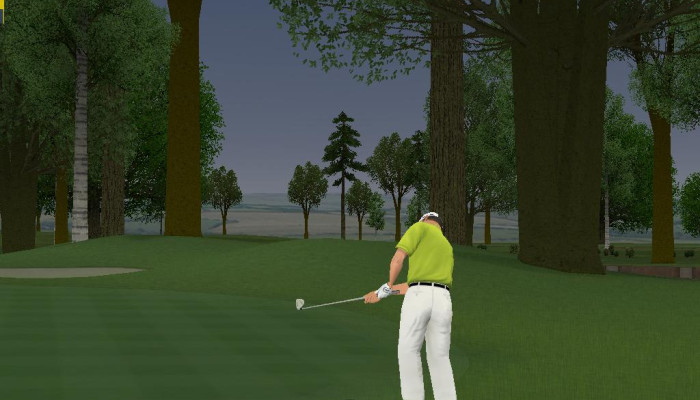 к игре ProStroke Golf: World Tour 2007
