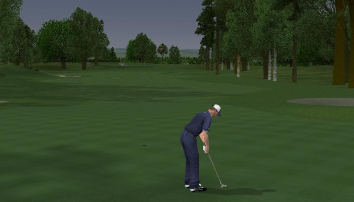 к игре ProStroke Golf: World Tour 2007