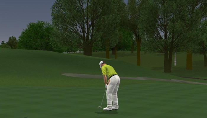 к игре ProStroke Golf: World Tour 2007