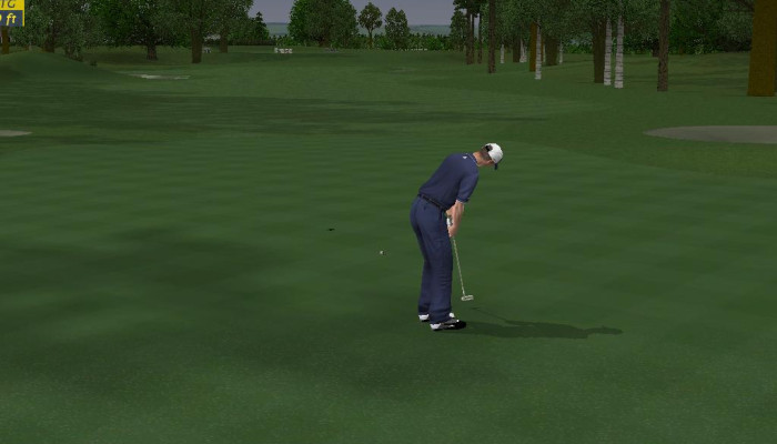к игре ProStroke Golf: World Tour 2007
