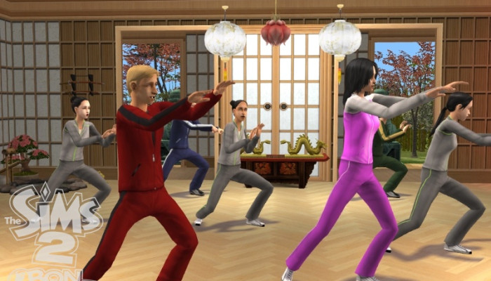к игре Sims 2: Bon Voyage, The