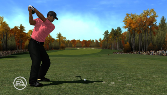 к игре Tiger Woods PGA Tour 08