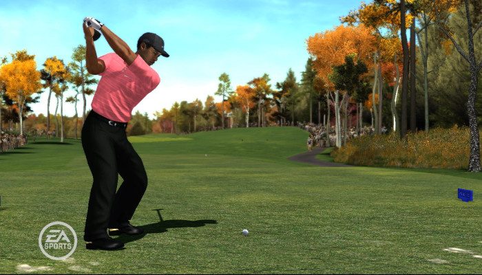 к игре Tiger Woods PGA Tour 08