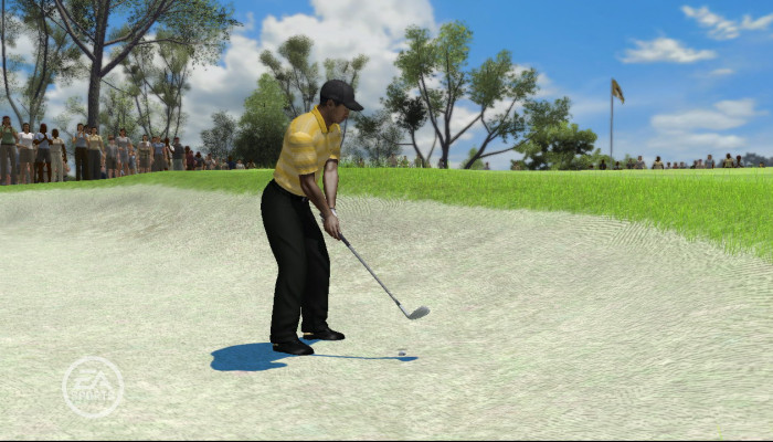 к игре Tiger Woods PGA Tour 08