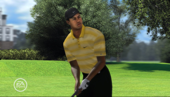 к игре Tiger Woods PGA Tour 08