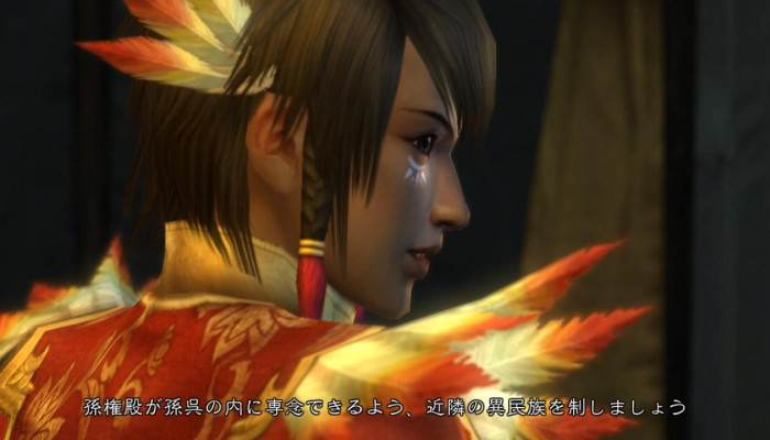 к игре Dynasty Warriors 6