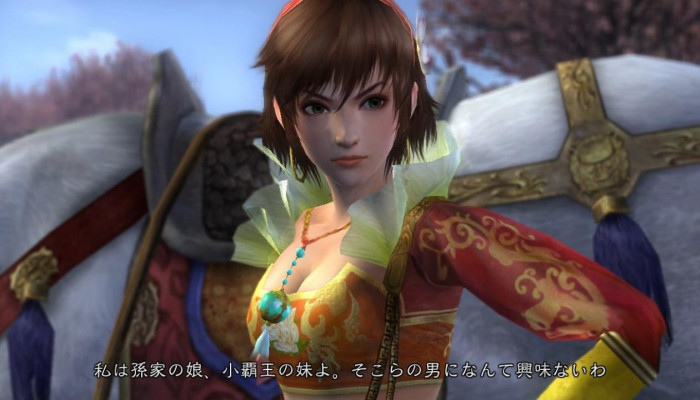 к игре Dynasty Warriors 6