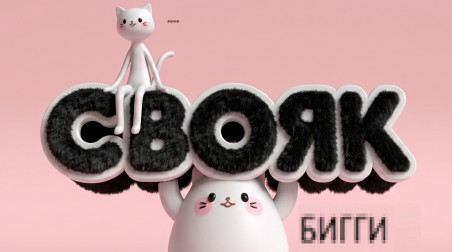 СВОЯК. Мини и Бигги