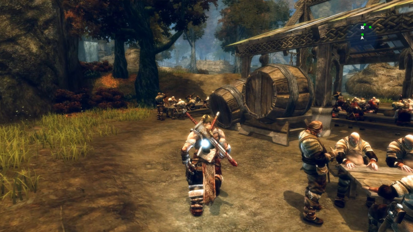 Какой викинг не любит медовуху?