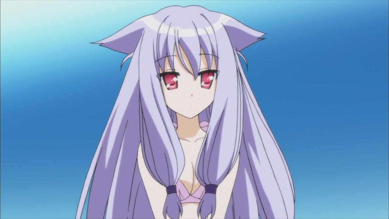 Mayoi Neko O Tomeyou