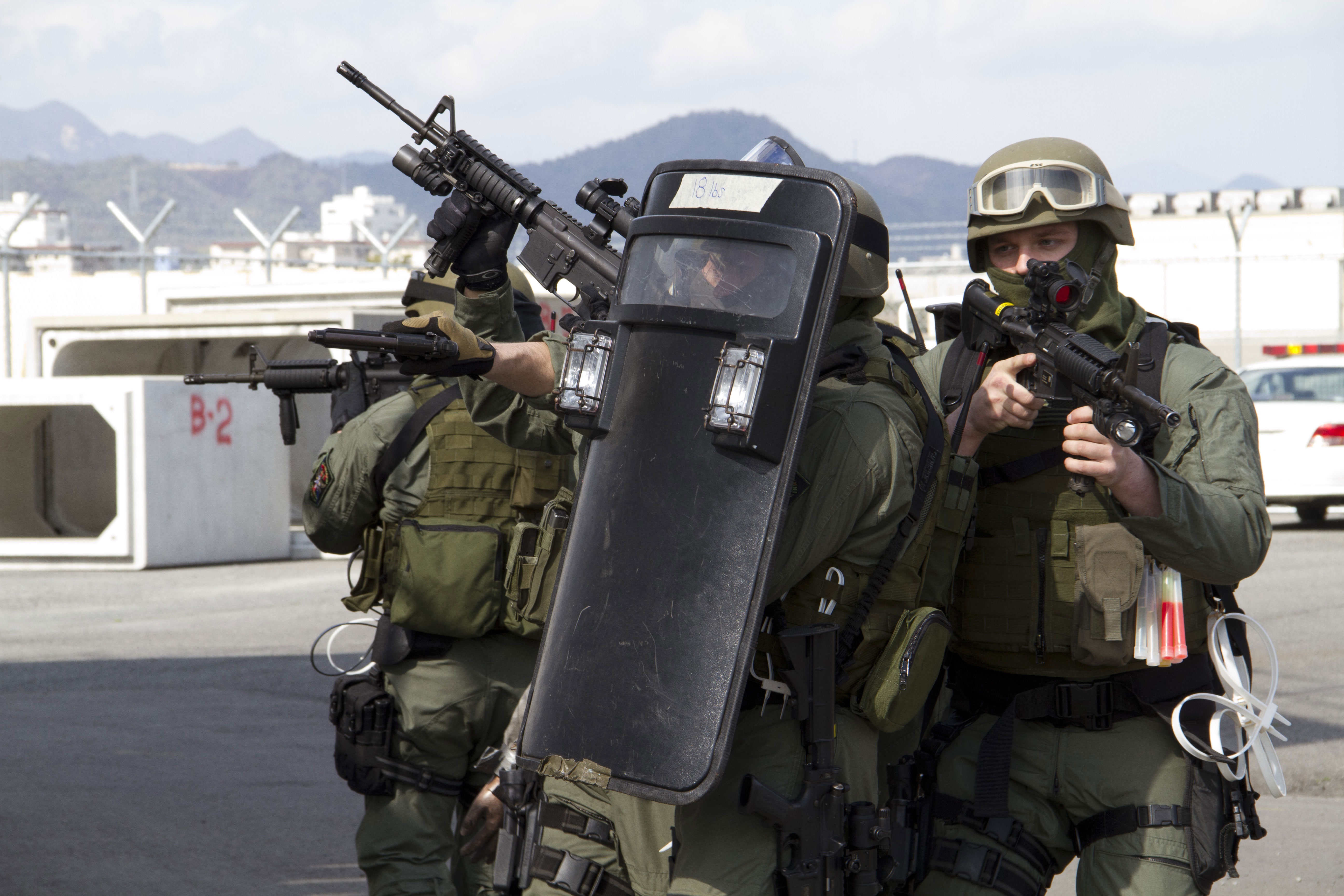 Force shield. SWAT Ballistic Shield. GSG 9 Shield. Щиты спецназа SWAT. Спецназ GSG 9.