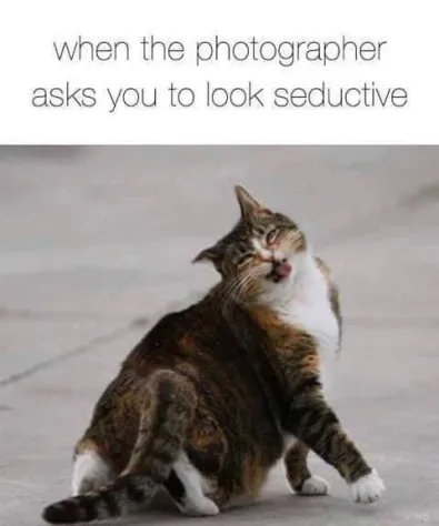 Когда фотограф попросил тебя выглядеть соблазнительно.