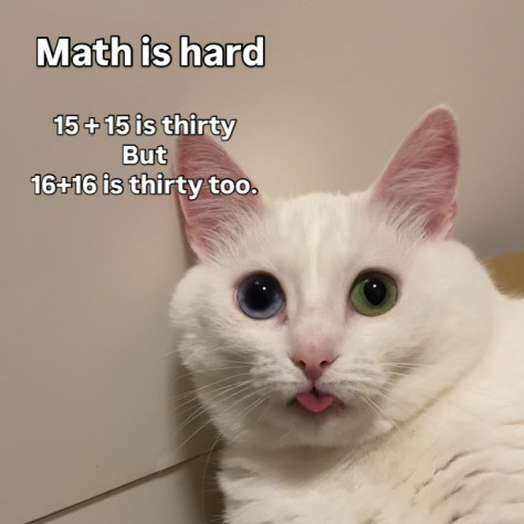 Математика трудная: 15+15&amp;nbsp;— тридцать, но&amp;nbsp;16+16 тоже тридцать.Шутка в&amp;nbsp;созвучии thirty-two (тридцать два) и&amp;nbsp;thirty too (тоже тридцать).