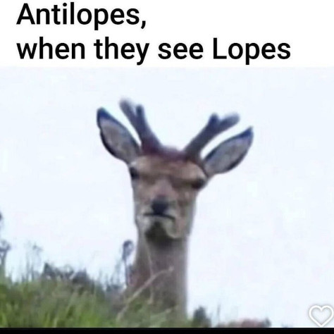 Антилопы, когда они видят лопов.