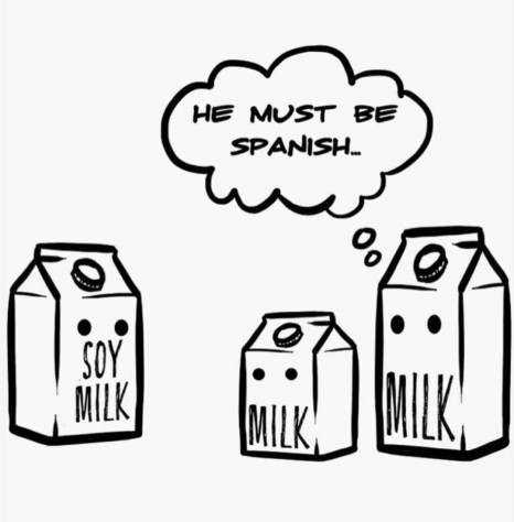 Тут шутка затрагивающая сразу два языка. Soy&amp;nbsp;— это конечно соя, но&amp;nbsp;в&amp;nbsp;испанском это одна из&amp;nbsp;форм слова «ser»&amp;nbsp;— «быть», и&amp;nbsp;используется когда рассказываешь о&amp;nbsp;себе.