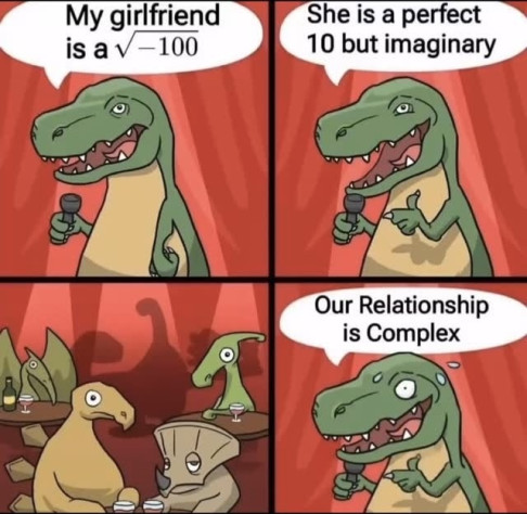 Моя девушка квадратный корень из&amp;nbsp;-100. Она совершенная десятка, но&amp;nbsp;воображаемая. У&amp;nbsp;нас сложные отношения (шутка про комплексные числа).