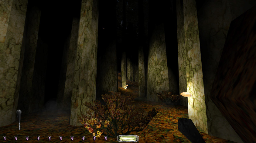 Ночью в лесу нужно отыскать древнюю гробницу.