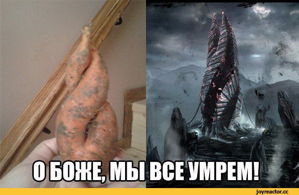 1417379651.jpeg