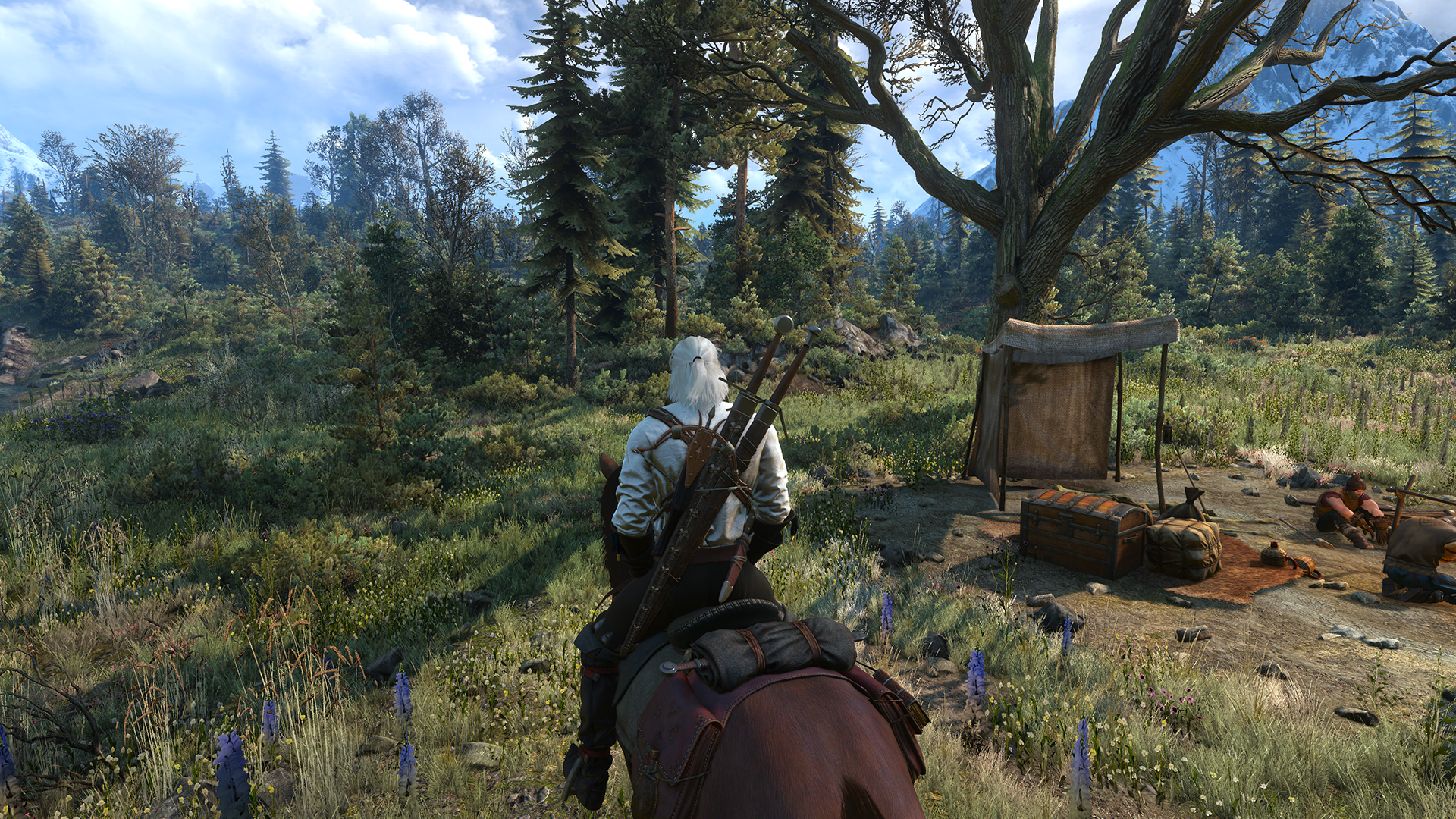 Ведьмак 3 улучшат. Ведьмак 3 трава. 2k grass Witcher. Ведьмак травы. Ведьмак игра 3 версия 1.31.