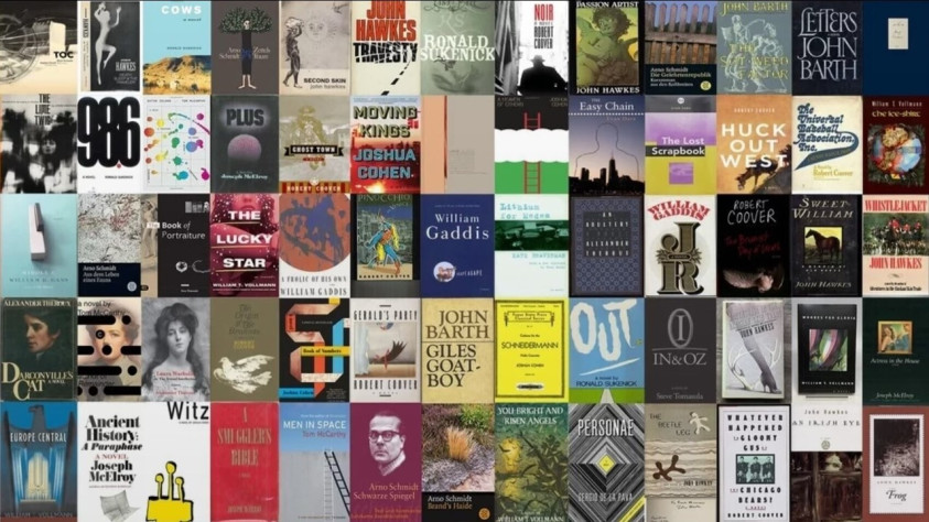 Maximalist Novel
