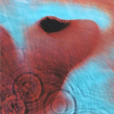 «Meddle» (1971)