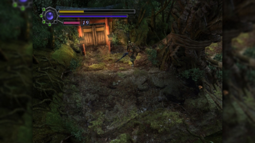 Из белочки на&amp;nbsp;дереве можно «высосать» жизнь