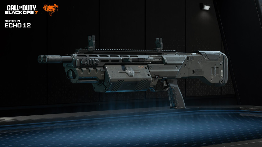Echo&amp;nbsp;12.
