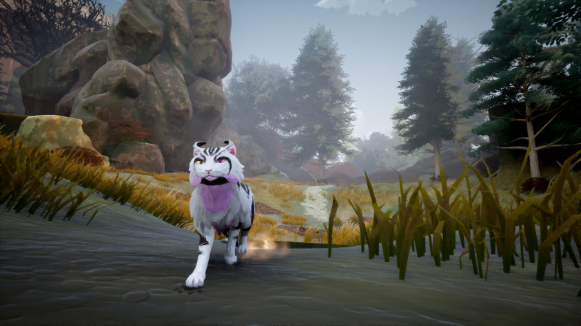Анонс Warrior Cats: Clans of the Forest — пошаговой RPG про боевых котофеев