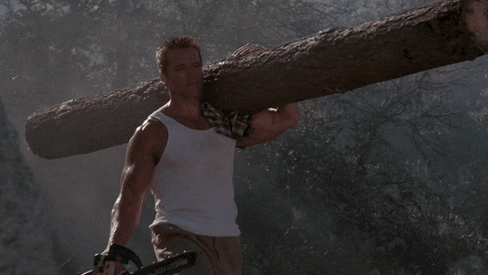 1634482306.gif