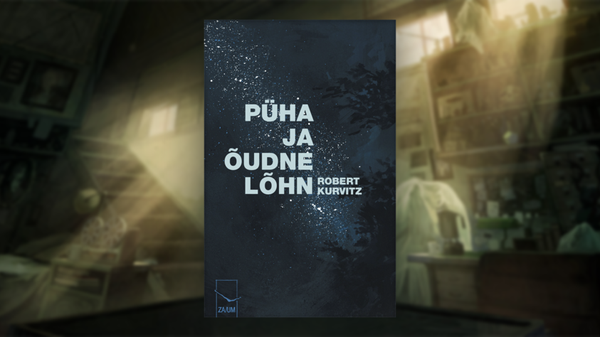 Обложка романа.