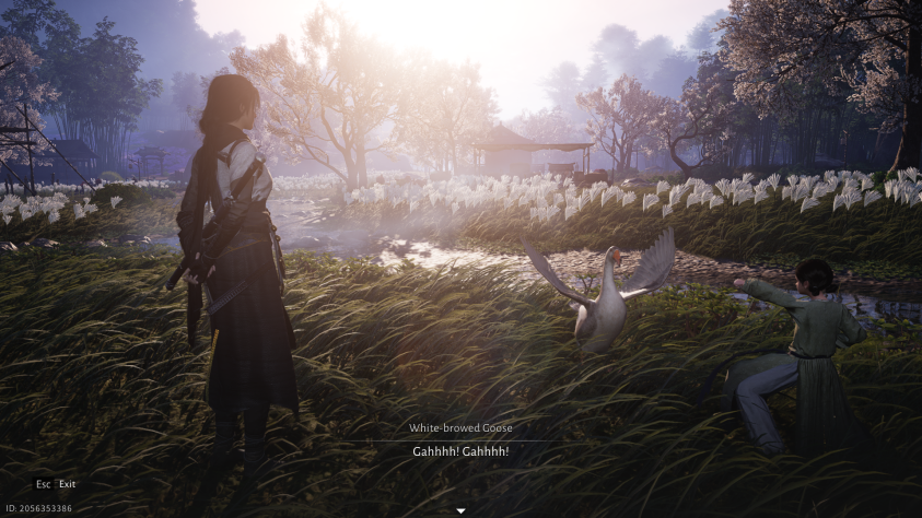 Гуси-гуси, га-га-га...