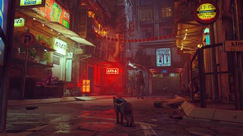 Stray&amp;nbsp;