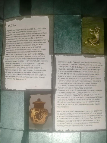 Или можно узнать как гидра связана с&amp;nbsp;водой.