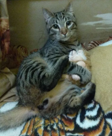 А&amp;nbsp;чё, я&amp;nbsp;тоже геймер!