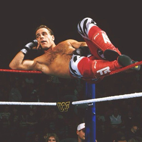 Шон Майклз (настоящее имя&amp;nbsp;— Майкл Шон Хикенботтом)&amp;nbsp;— американский рестлер, актёр и&amp;nbsp;телеведущий. Широко рассматривается как один из&amp;nbsp;величайших рестлеров всех времён.