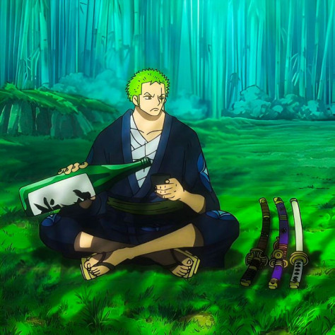 Ророноа Зоро&amp;nbsp;— персонаж аниме и&amp;nbsp;манги «One Piece. Большой куш», созданной Эйитиро Одой. Прозвище&amp;nbsp;— «Охотник на&amp;nbsp;пиратов», «Король Ада».