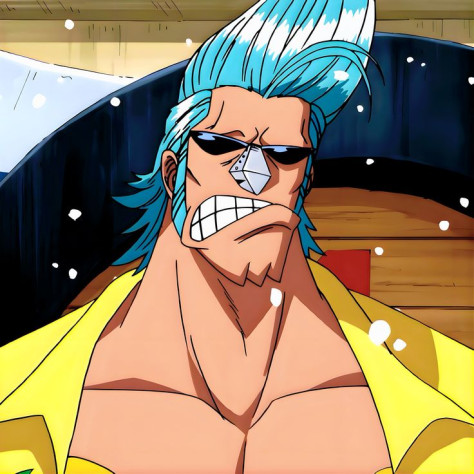 Фрэнки&amp;nbsp;— персонаж франшизы One Piece, корабельный плотник в&amp;nbsp;команде пиратов Соломенной Шляпы. Также известен под псевдонимом «Киборг».