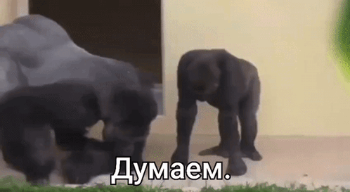 Всем селом думали, да всё ещё самый юслесс перс