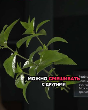 МОЖНО