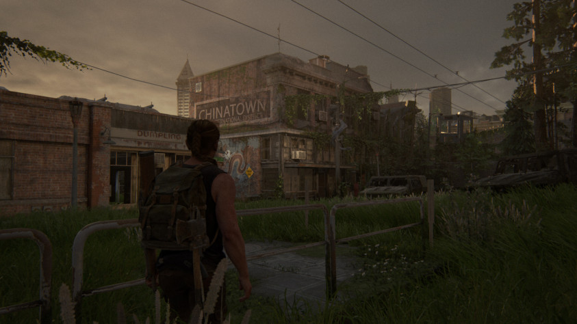 Вайбы суховатого летнего зноя пронимали меня уже не так сильно, как холодный и опустошённый Сиэтл, хотя пейзажи всё ещё оставались весьма симпатичными