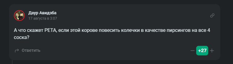 Автор комментария Даур Авидзба
