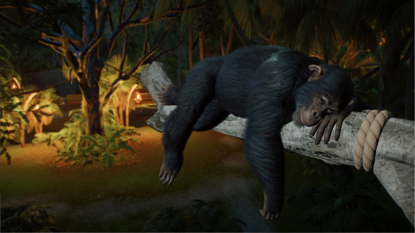 Состоялся анонс Planet Zoo 2