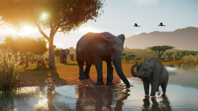 Состоялся анонс Planet Zoo 2