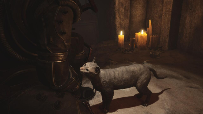 В дополнение, в игре можно собирать котиков и гладить их, а они дают тебе припасы... Такого даже в Dead Space не было, это фантастика!!!&amp;nbsp; &amp;nbsp;