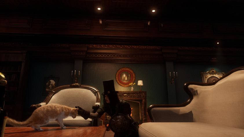 Набор скринов с котиком и не только