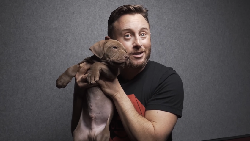 настоящий Dog Lover)