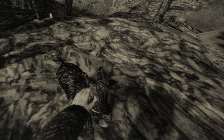 Не забудь погладить козочку