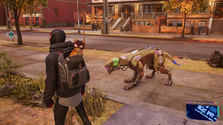 Песика даже выгулять придется