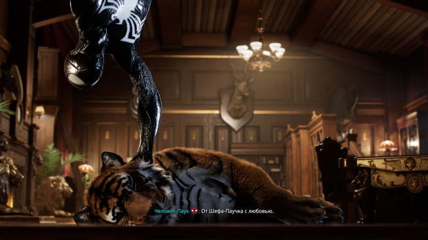 Типичное домашнее животное у гражданина Владивостока