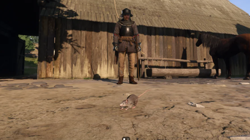 В KCD 2 тоже есть крысы, но, в отличие от A Plague Tale, они не представляют угрозы. Кстати,&amp;nbsp;A Plague Tale к крысам несправедлива: в
действительности они переносили не чуму (они ею даже не болели), а зараженных чумной палочкой блох.